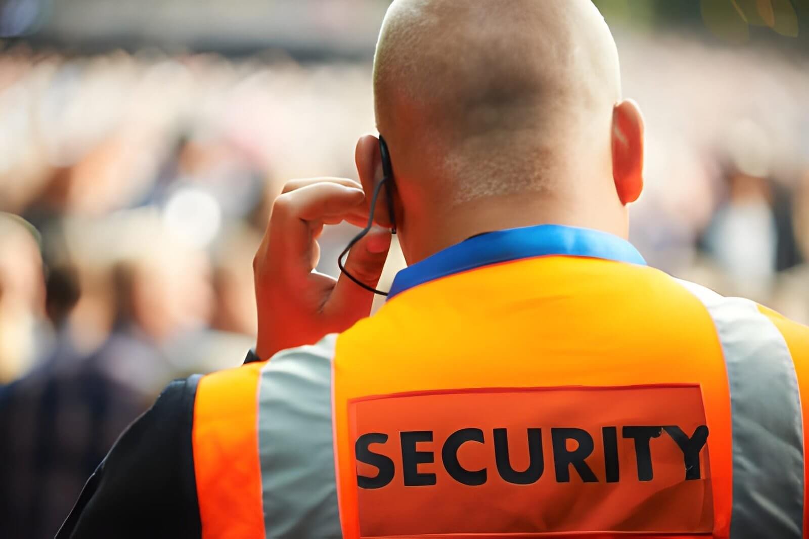 Image Of security Guard